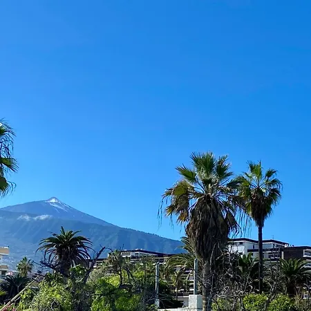 Apartment Oasis La Paz - Romen - Adults Only *