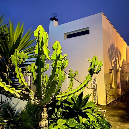 Daire Oasis La Paz - Romen - Adults Only Puerto de la Cruz (Tenerife)